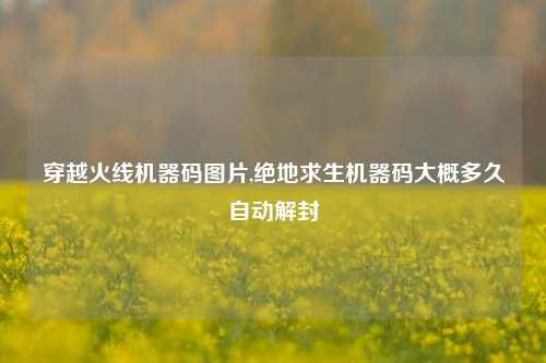 穿越火线机器码图片,绝地求生机器码大概多久自动解封