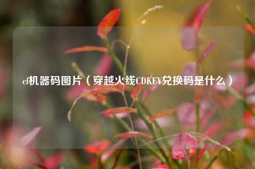 cf机器码图片（穿越火线CDKEY兑换码是什么）