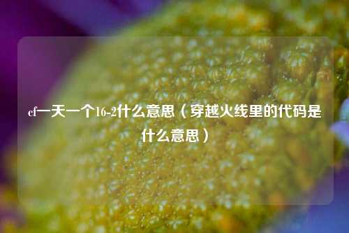 cf一天一个16-2什么意思（穿越火线里的代码是什么意思）
