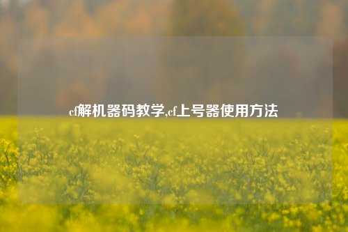 cf解机器码教学,cf上号器使用方法
