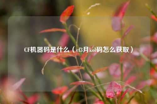 CF机器码是什么（cf3月kol码怎么获取）