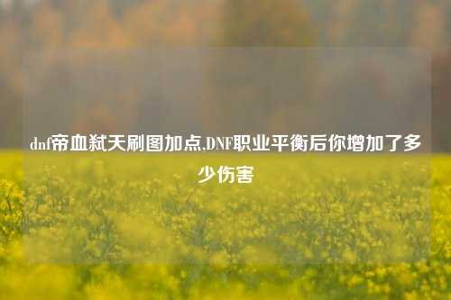 dnf帝血弑天刷图加点,DNF职业平衡后你增加了多少伤害