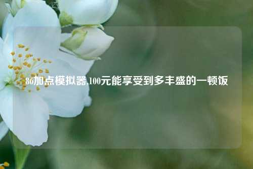 86加点模拟器,100元能享受到多丰盛的一顿饭