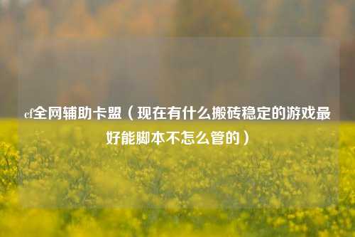cf全网辅助卡盟（现在有什么搬砖稳定的游戏最好能脚本不怎么管的）