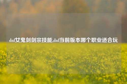 dnf女鬼剑剑宗技能,dnf当前版本哪个职业适合玩