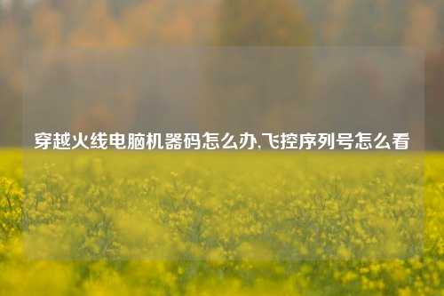 穿越火线电脑机器码怎么办,飞控序列号怎么看