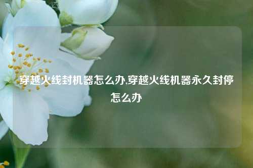 穿越火线封机器怎么办,穿越火线机器永久封停怎么办