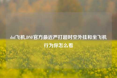 dnf飞机,DNF官方最近严打超时空外挂和坐飞机行为你怎么看