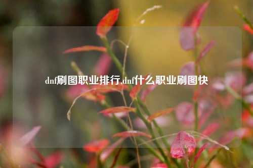 dnf刷图职业排行,dnf什么职业刷图快