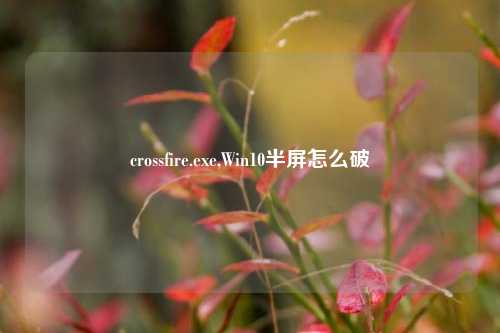 crossfire.exe,Win10半屏怎么破