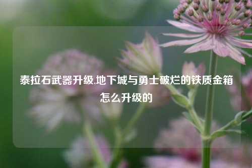 泰拉石武器升级,地下城与勇士破烂的铁质金箱怎么升级的