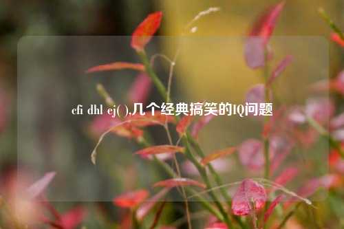 cfi dhl ej( ),几个经典搞笑的IQ问题