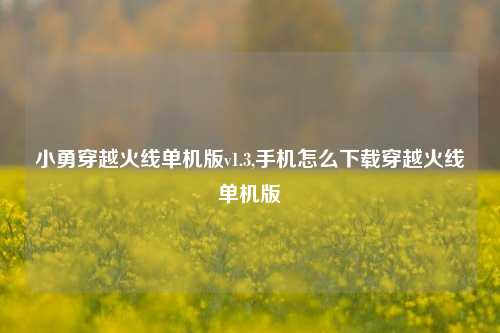 小勇穿越火线单机版v1.3,手机怎么下载穿越火线单机版