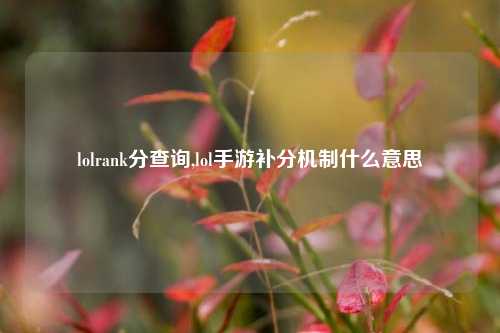 lolrank分查询,lol手游补分机制什么意思
