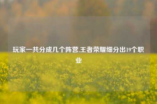 玩家一共分成几个阵营,王者荣耀细分出19个职业