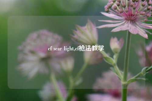cf scar light,cf枪法教学