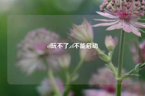 cf玩不了,cf不能启动