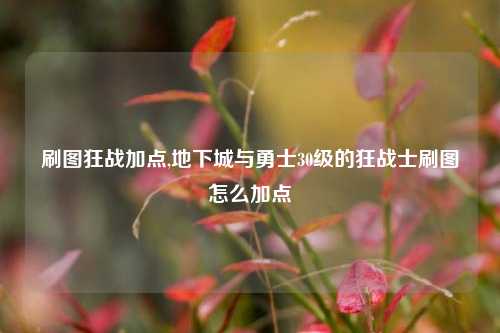 刷图狂战加点,地下城与勇士30级的狂战士刷图怎么加点