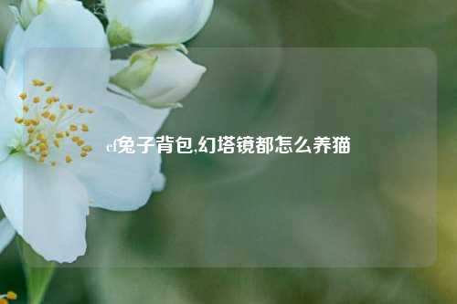 cf兔子背包,幻塔镜都怎么养猫