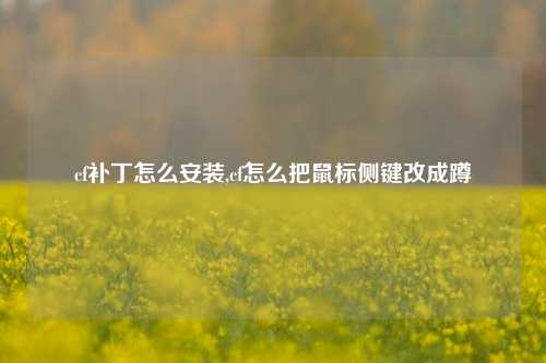 cf补丁怎么安装,cf怎么把鼠标侧键改成蹲