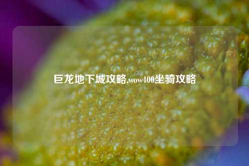 巨龙地下城攻略,wow400坐骑攻略