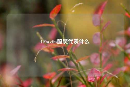 CFm,cfm服装代表什么