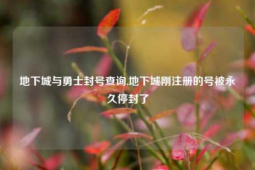 地下城与勇士封号查询,地下城刚注册的号被永久停封了
