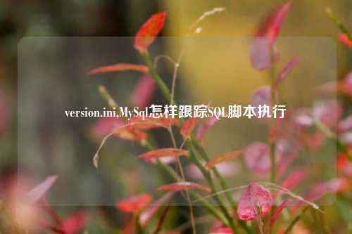version.ini,MySql怎样跟踪SQL脚本执行