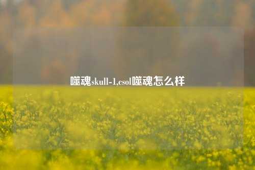 噬魂skull-1,csol噬魂怎么样
