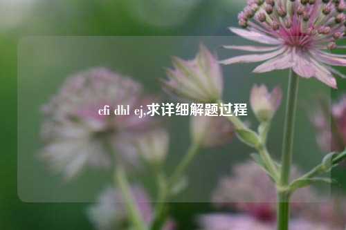 cfi dhl ej,求详细解题过程