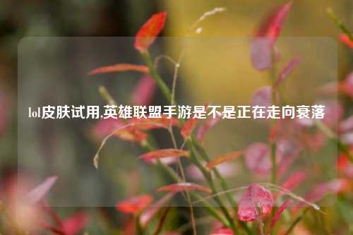 lol皮肤试用,英雄联盟手游是不是正在走向衰落