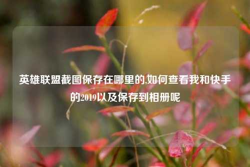 英雄联盟截图保存在哪里的,如何查看我和快手的2019以及保存到相册呢