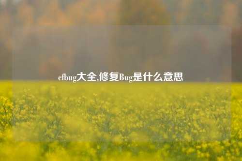 cfbug大全,修复Bug是什么意思