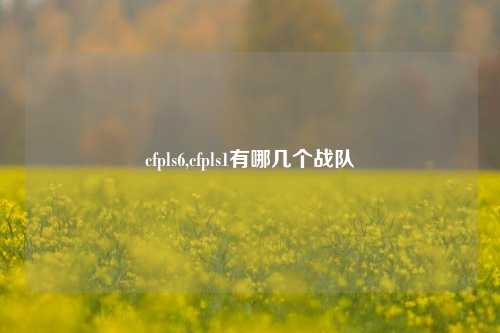 cfpls6,cfpls1有哪几个战队