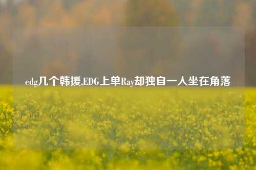 edg几个韩援,EDG上单Ray却独自一人坐在角落