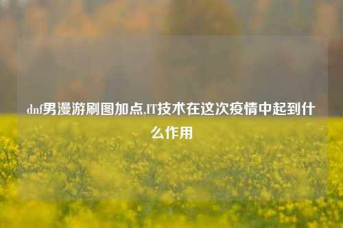 dnf男漫游刷图加点,IT技术在这次疫情中起到什么作用