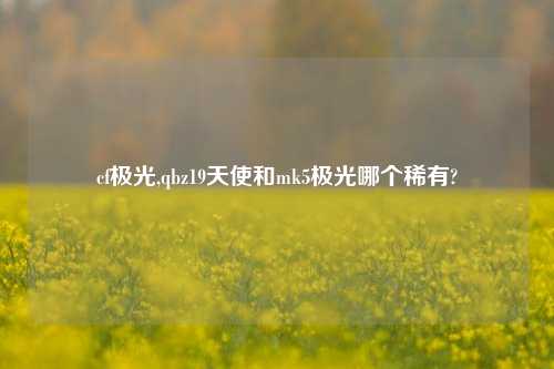 cf极光,qbz19天使和mk5极光哪个稀有?