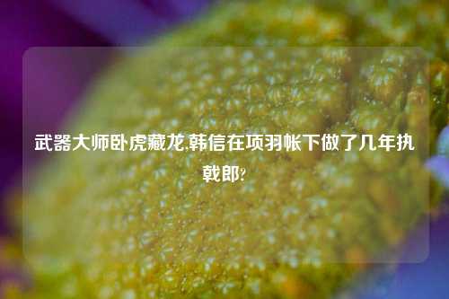 武器大师卧虎藏龙,韩信在项羽帐下做了几年执戟郎?
