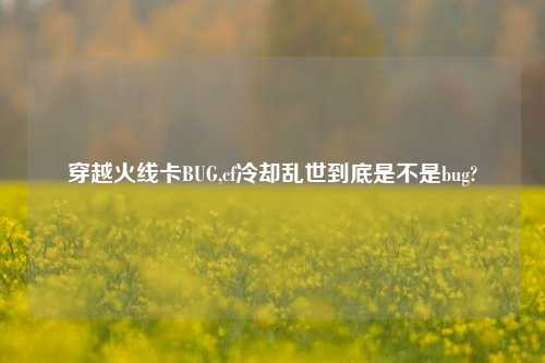穿越火线卡BUG,cf冷却乱世到底是不是bug?