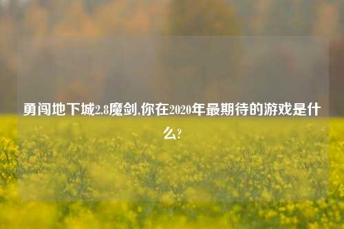 勇闯地下城2.8魔剑,你在2020年最期待的游戏是什么?