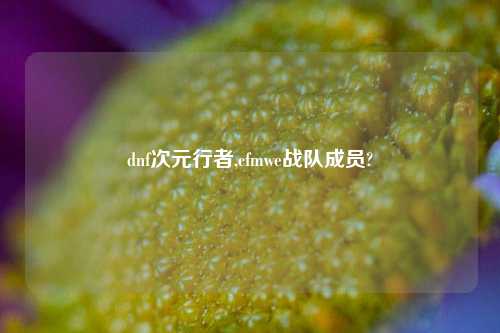dnf次元行者,cfmwe战队成员?