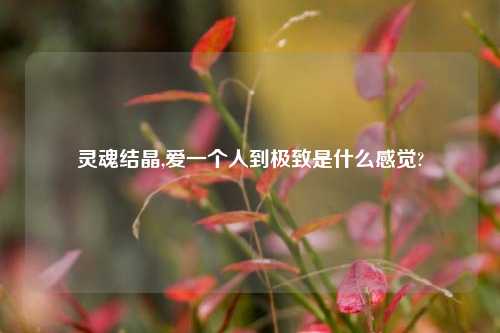 灵魂结晶,爱一个人到极致是什么感觉?