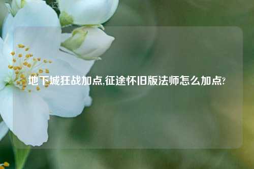 地下城狂战加点,征途怀旧版法师怎么加点?