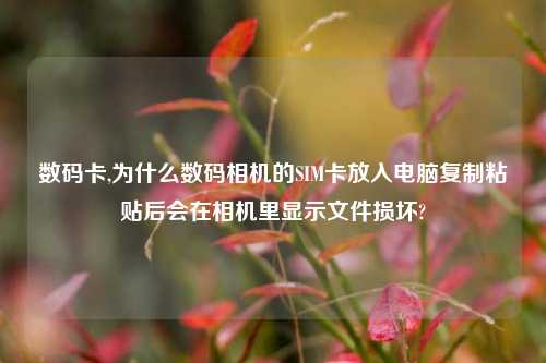 数码卡,为什么数码相机的SIM卡放入电脑复制粘贴后会在相机里显示文件损坏?