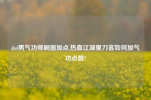 dnf男气功师刷图加点,热血江湖里刀客如何加气功点数?