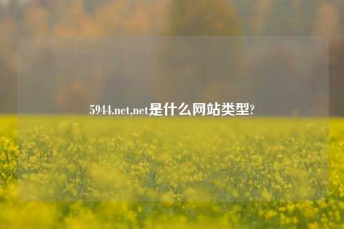 5944.net,net是什么网站类型?
