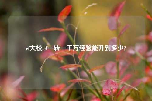 cf大校,cf一转一千万经验能升到多少?