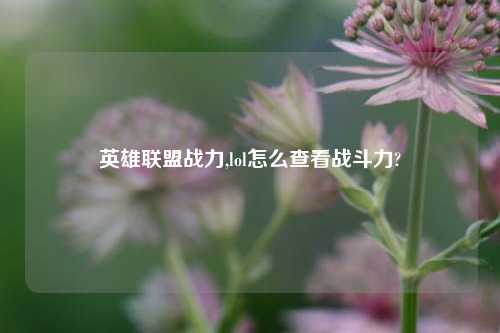 英雄联盟战力,lol怎么查看战斗力?