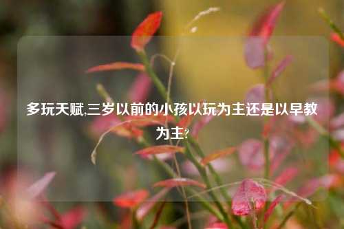 多玩天赋,三岁以前的小孩以玩为主还是以早教为主?