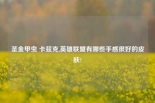 圣金甲虫 卡兹克,英雄联盟有哪些手感很好的皮肤?